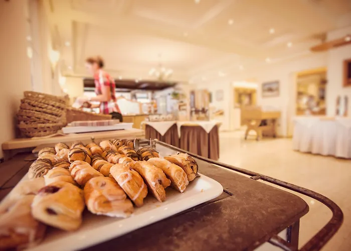 斯瓦契哈维酒店 酒店