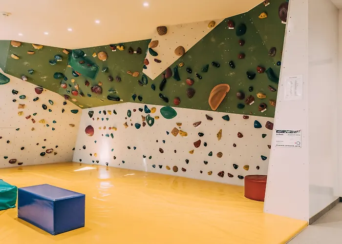 斯瓦契哈维酒店 4* 斯拉德明