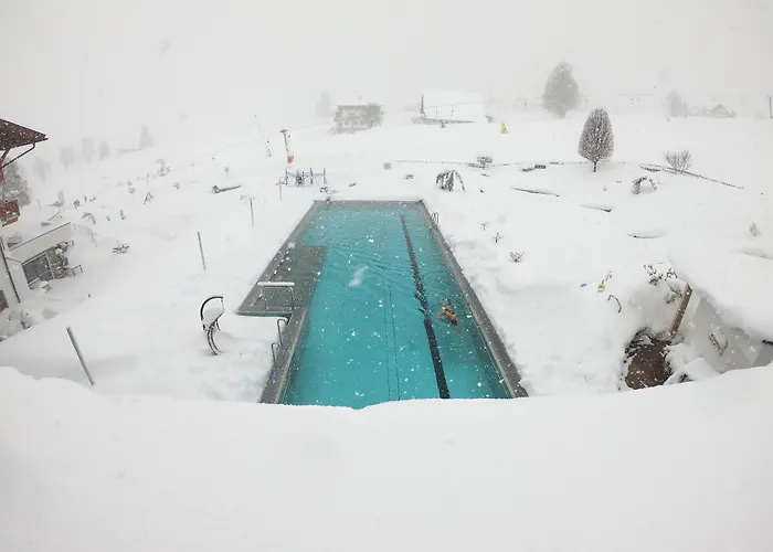 斯瓦契哈维酒店 4* 斯拉德明